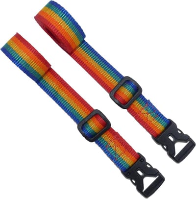 Singelband met gesp - Spanbanden bundelen - Spullen vastzetten - Snelsluiting ontwerp - 2 stuks 1 meter - Regenboog