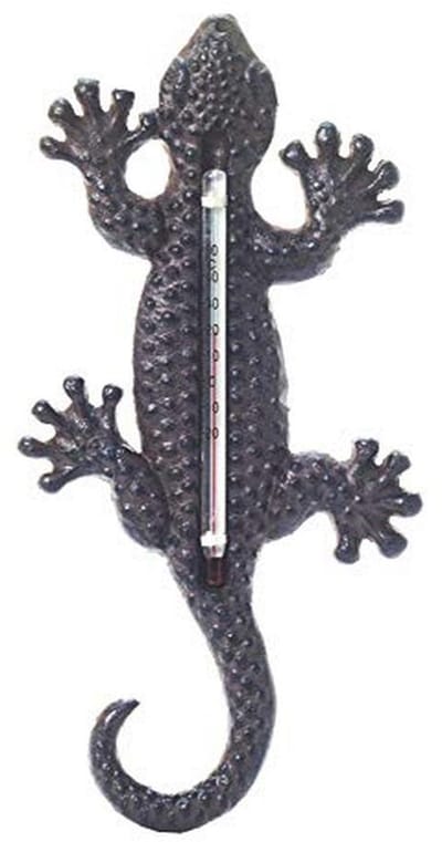 Hagedis thermometer voor binnen en buiten, 22 cm hoog