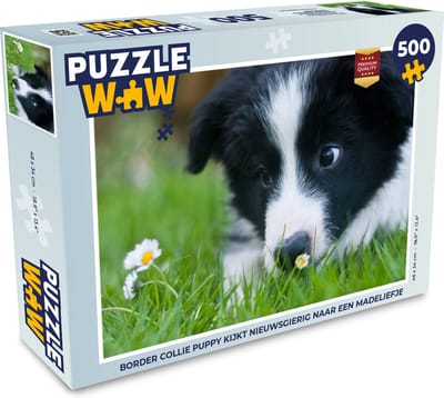 Puzzel Border collie puppy kijkt nieuwsgierig naar een madeliefje - Legpuzzel - Puzzel 500 stukjes