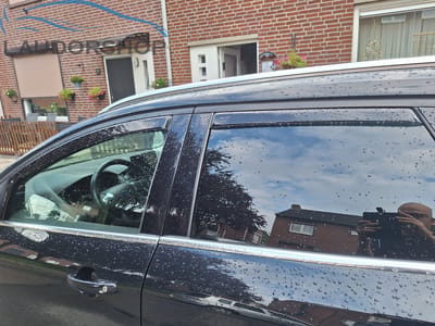 Zijwindschermen donker getint tbv Ford Focus (MK3 / III) model Stationwagon 5-deurs va. 2011 V + A ramen pasvorm Team heko