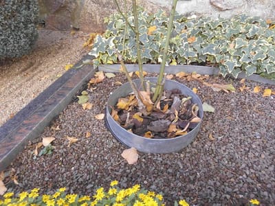 Gazonrandband - borderbegrenzing - 25 cm hoog - rol - verschillende lengtes