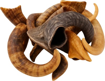 Animalking Kauwsnack Lamshoorn voor Hond - M tot 100 Gram - Gewei Hond - Hoorn Hond - Hondensnack