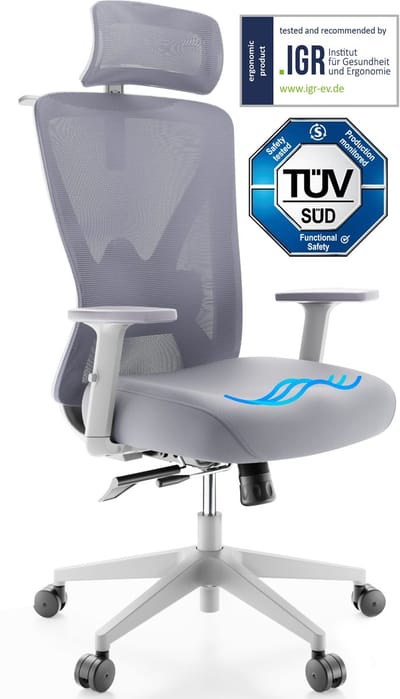 Backerz – Ergonomische Bureaustoel – 44-56 cm Zithoogte & EN1335 Gecertificeerd – Voorzien Van 3D Armleuningen En Verstelbare Lendensteun – Voor Kantoor En Gaming – Wit/Grijs Polypropeen En Mesh