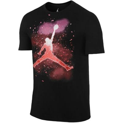 Jordan T-shirt met grafische print, pullover, ronde hals, korte mouwen, heren T-shirts 717111-010 M brown