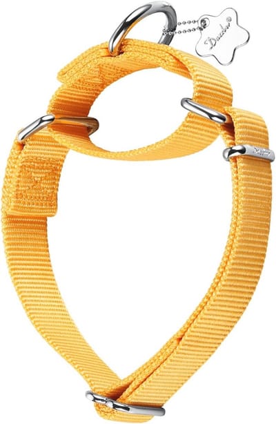 Verstelbare Martingale Halsband voor Honden - Duurzaam Nylon, Felgeel, Medium (36-53 cm)