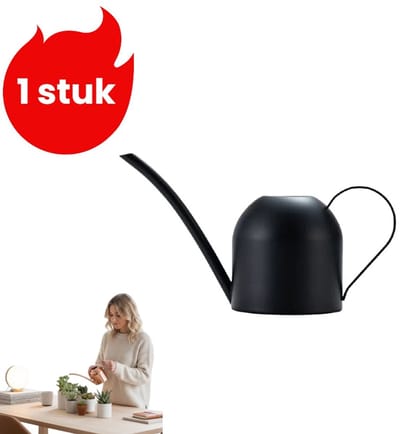 1 stuk - Gieter van roestvrij staal - Mini-tuinsproeier - Gieter met lange tuit - Gieter voor potplanten van 500 ml - Zwart
