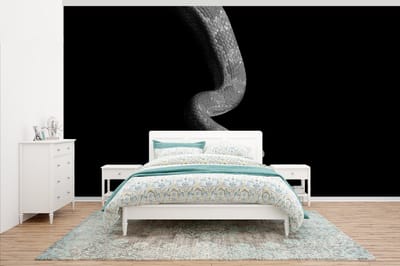 Behang - Fotobehang Dieren - Slang - Zwart - Wit - Portret - Breedte 500 cm x hoogte 280 cm