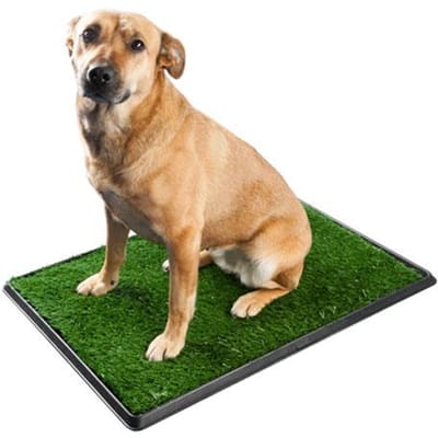 Honden toilet - Groot