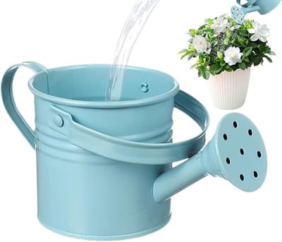 Decoratieve Gieter - Tuingieter Met Handvat - Planten Water Geven - Roestbestendig Gegalvaniseerd - 8 x 8 x 8 cm