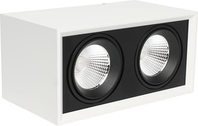 Strakke dubbele Opbouwspot-2x20W-2700K-wit