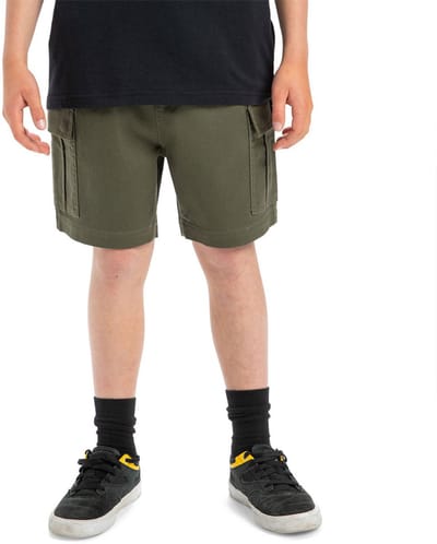 Quiksilver Taxer Cargo Shorts Groen 10 Years Jongen