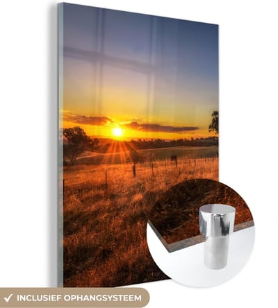 MuchoWow® Glasschilderij 30x40 cm - Schilderij acrylglas - Zon - Gras - Boom - Natuur - Foto op glas - Schilderijen