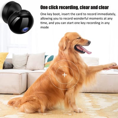 Dailygoods - Draadloze Wifi Camera - Oplaadbare Batterij - Beveiliging voor Buiten - Nachtzicht - HD Beveiligingscamera - Ideaal voor Thuis - Geschikt