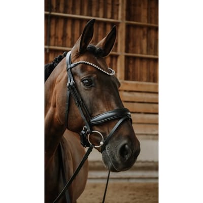 Gecombineerd hoofdstel met neusriem Norton Diams