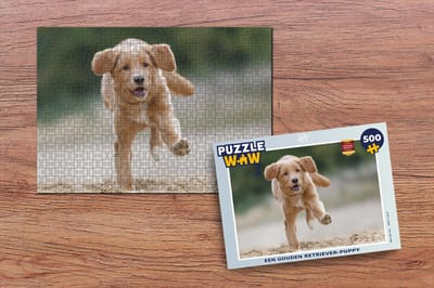 Puzzel Een gouden Retriever-puppy - Legpuzzel - Puzzel 500 stukjes