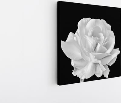 Saammp Canvas Schilderij - Witte Bloem - Natuur - 20x20 - Foto op canvas - Wanddecoratie - Muurdecoratie Woonkamer - Kantoor Decoratie