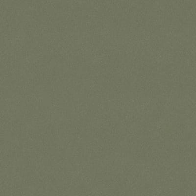 Boråstapeter Vliesbehang 7581 - Pigment - Groen - 53cm x 10.05m