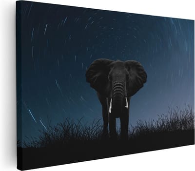 Artaza Canvas Schilderij Dierenkop Olifant - 30x20 cm - Klein - Muurdecoratie Wilde Dieren - Wanddecoratie Woonkamer - Kamer Accessoires Sterrenhemel