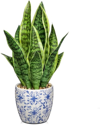 Dailygoods- Kunstplant Sansevieria - Kunstplant in keramische pot - Nepplanten voor binnen - Decoratie voor thuis - Altijdgroene elegantie - Natuurgetrouwe uitstraling - Nepplant