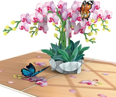 Dailygoods- Pop-up Kaart Orchideeën - Elegante 3D-Verjaardagskaart - Wenskaart voor Vrouwen - Speciale Kaart voor Verjaardag/Jubileum - Herstelkaart - Magische Papierkunst