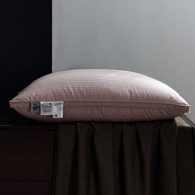 100% Ganzendons Kussens Neksteunkussens voor Slapen Bedkussen 100% Katoenen Hoes met Ganzendons 1 Stuk Hotel Collectie Zacht Comfort Standare(20x26 inch)