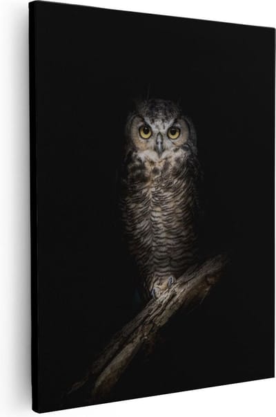 Artaza Canvas Schilderij Dierenkop Uil - 40x50 cm - Wanddecoratie Dieren - Muurdecoratie Vogel - Kamer Accessoires
