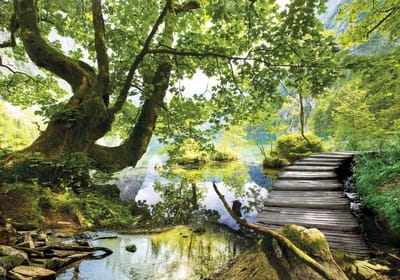 Bos Steiger - Fotobehang Vlies - Vlies 386x254