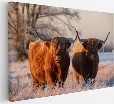 Saammp Canvas Schilderij - Schotse Hooglander Koe - Abstract - Dieren - Natuur - 30x20 - Foto op canvas - Wanddecoratie - muurdecoratie Woonkamer - Slaapkamer decoratie - Canvas Print