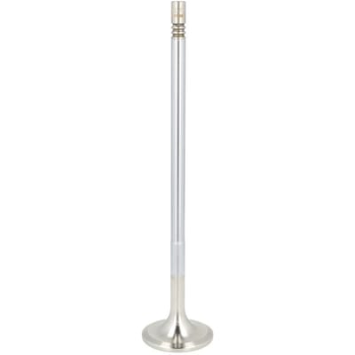 Inlaatklep DT Spare Parts 6.22055