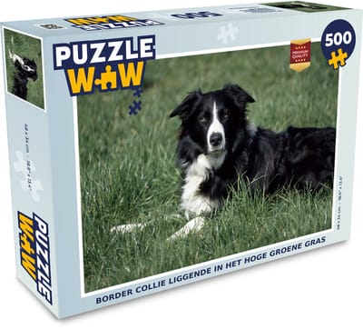 Puzzel Border collie liggende in het hoge groene gras - Legpuzzel - Puzzel 500 stukjes
