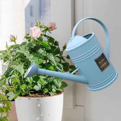 Gieter 8 Liter - Waterkan Planten - Binnen en Buiten - Lange Smalle Tuit