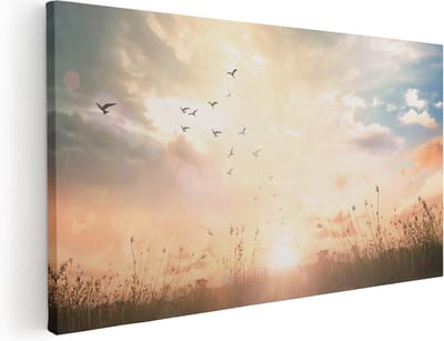Artaza Canvas Schilderij Zonsondergang - 40x20 cm - Klein - Wanddecoratie Vogels - Muurdecoratie Natuur - Schilderijen Op Canvas Landschap