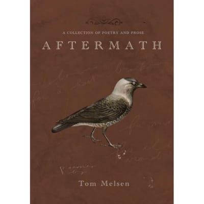 Aftermath - Tom Melsen