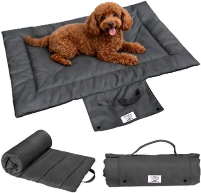 Dailygoods - Hondendeken voor onderweg, 70 x 50 cm, hondendeken, draagbaar en opvouwbaar, zachte huisdierdeken voor honden en katten, wasbaar, hondendeken voor op reis, voor bank, auto en outdoor