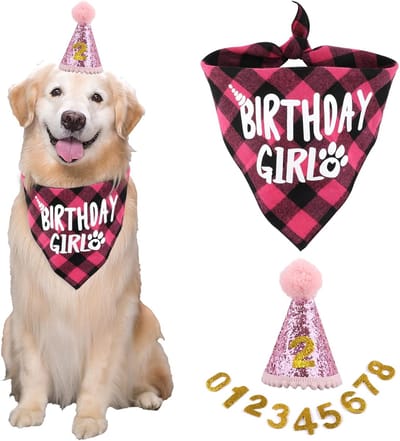 carmdering - Honden Verjaardags Hoed Set - Huisdier Feestmuts Accessoires - Dieren Kostuum Set - Verstelbare Pasvorm- Katoen En EVA Materiaal - Comfortabel En Lichtgewicht - Ideaal Voor Feesten - 3 Delen-roze