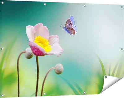 Gards Tuinposter Roze Anemoon Bloem met een Blauwe Vlinder - 120x80 cm - Tuindoek - Tuindecoratie - Wanddecoratie buiten - Tuinschilderij