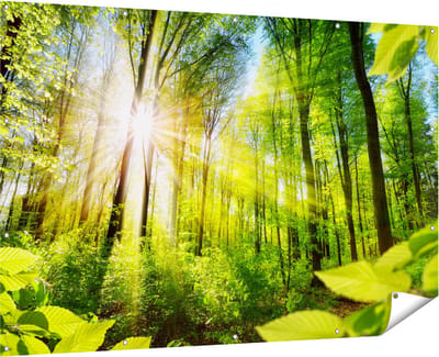 Gards Tuinposter Weg Omringd met Bomen in het Bos - 180x120 cm - Tuindoek - Tuindecoratie - Wanddecoratie buiten - Tuinschilderij