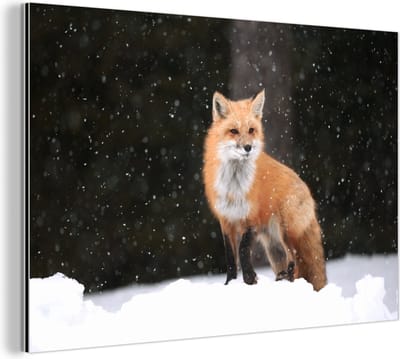 Wanddecoratie Metaal - Aluminium Schilderij Industrieel - Vos - Sneeuw - Winter - 30x20 cm - Dibond - Foto op aluminium - Industriële muurdecoratie - Voor de woonkamer/slaapkamer