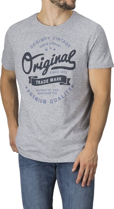 DENIMFY Heren T-Shirt DFNuri regular fit Grijs S Ronde Hals Volwassenen t shirt heren met print