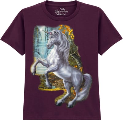 KIDS Eenhoorn Unicorn Of The Willow The Coloured House KIDS T-shirt L