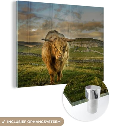 MuchoWow® Glasschilderij 160x120 cm - Schilderij acrylglas - Schotse Hooglander - Gras - Berg - Foto op glas - Schilderijen