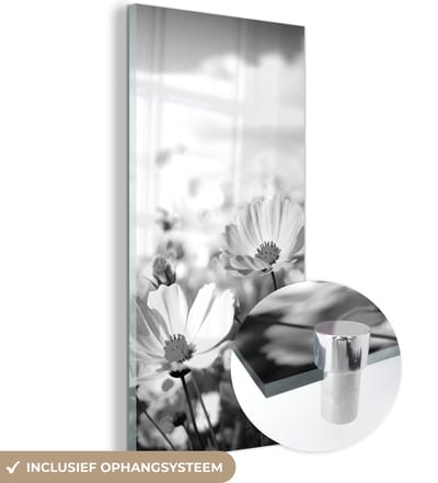 MuchoWow® Glasschilderij 60x120 cm - Schilderij acrylglas - Bloemen - Wei - Paars - Gras - Wit - Wolken - Blauw - Foto op glas - Schilderijen