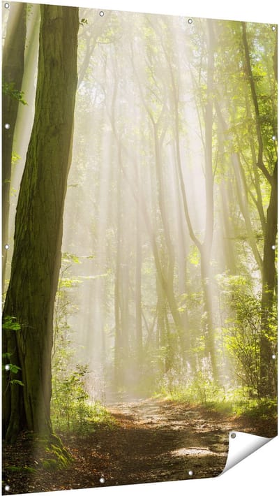 Gards Tuinposter Bos met Bomen en Zonneschijn - 120x180 cm - Tuindoek - Tuindecoratie - Wanddecoratie buiten - Tuinschilderij