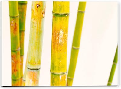 Acrylglas - Groene Bamboe Stokken - 40x30cm Foto op Acrylglas (Wanddecoratie op Acrylglas)