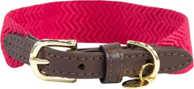 Kentucky Dogwear - Jacquard Hondenhalsband - Roze - Maat L - 62cm - Hondenriem