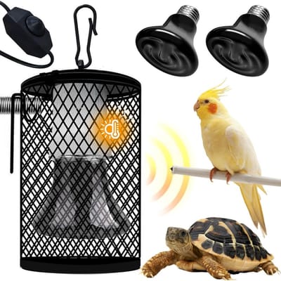 QIN® Warmtelamp Reptielen - Terrarium - Warntelamp - Zwart - 22cm x 22cm x 27cm
