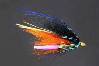 24 Stuks Vliegenvisset: Zalm, Forel & Steelhead Streamers met Blauwe en Zwarte Veer