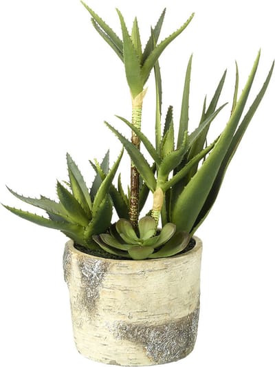Parlane Kunst Succulent mix in sierpot - 19 x 19 x 43 cm
