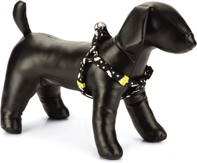 Beeztees Borsttuig Thunder Zwart 26-40cm x 1cm