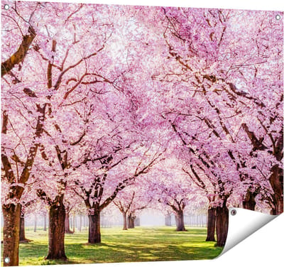 Gards Tuinposter Roze Bloesembomen Park - Bloemen - 100x80 cm - Tuindoek - Tuindecoratie - Wanddecoratie buiten - Tuinschilderij
